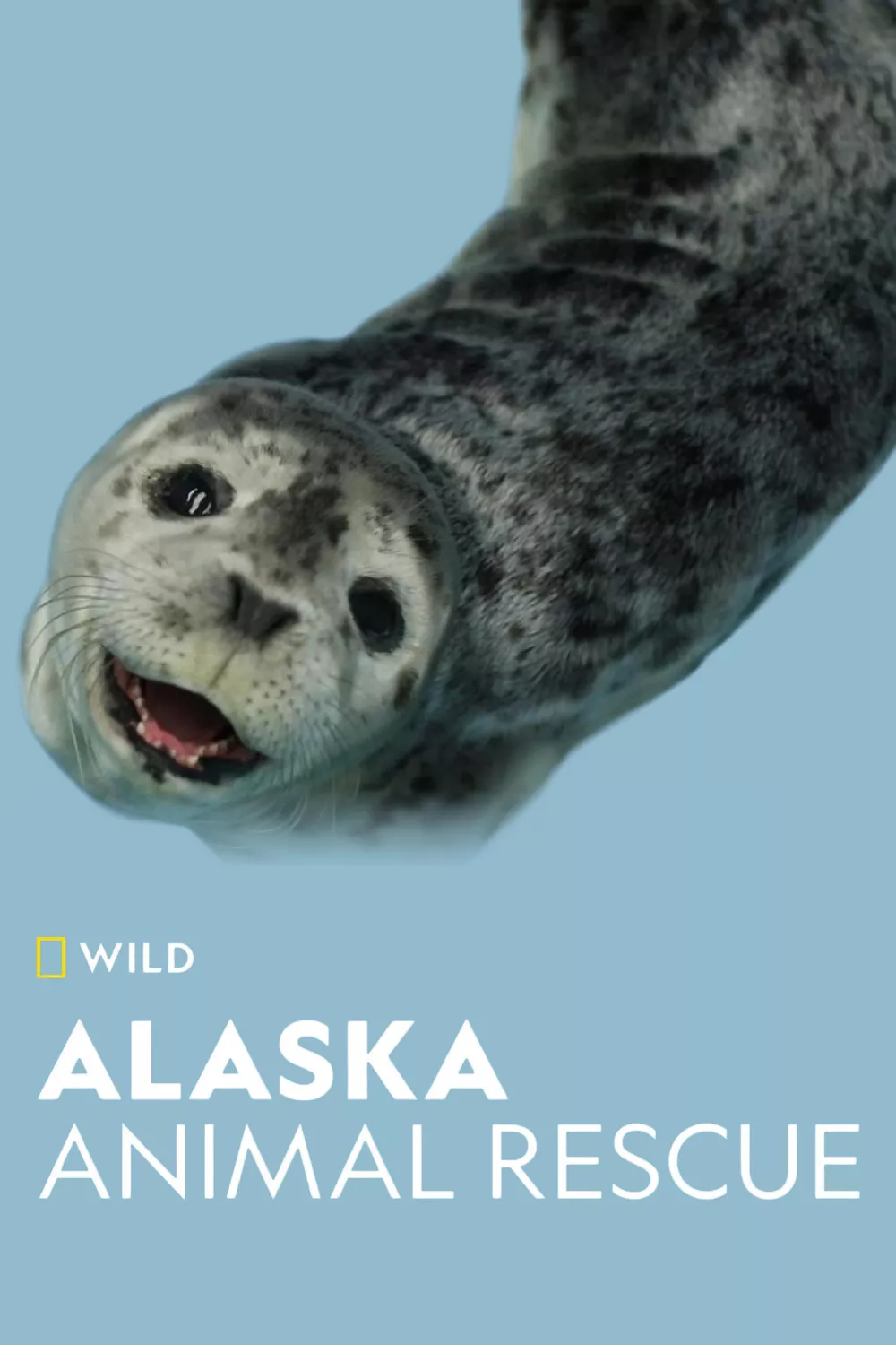 Alaska Animal Resque Locandina P
