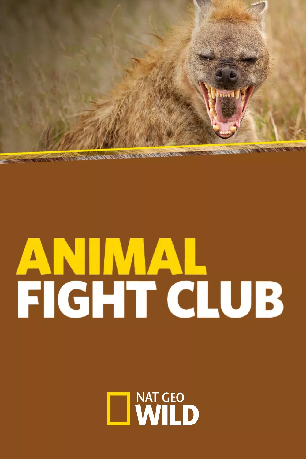Animal Fight Club Locandina P